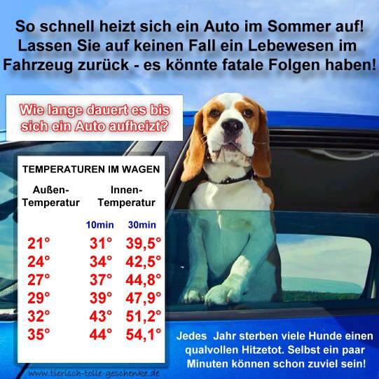 Auto Hitze