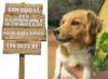 images/Stdtische-Tierheime/CanDog-Ibiza/can-dogs-ibiza-logo.jpg